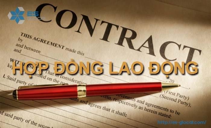 Hợp đồng lao động Hợp đồng lao động