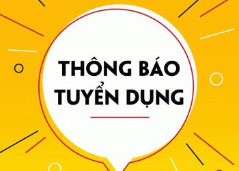 Thông tin tuyển dụng thực tập sinh trợ lý kiểm toán, kế toán năm 2024 – 2025