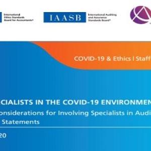 AICPA và IAASB phát hành ấn phẩm “Các Lưu ý sử dụng Chuyên gia khi Kiểm toán Báo cáo tài chính”
