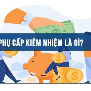 Phụ cấp kiêm nhiệm là gì? Phụ cấp kiêm nhiệm công tác Đảng