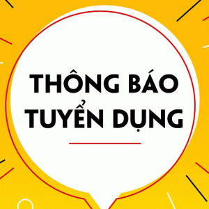 Thông báo tuyển dụng Trợ lý kiểm toán viên BCTC, Nhân viên kế toán năm 2023