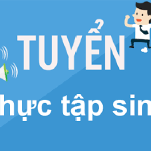 Thông báo tuyển dụng Thực tập sinh Trợ lý kiểm toán viên BCTC, Nhân viên kế toán năm 2023-2024