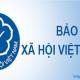 Hướng dẫn cách điền mẫu TK1-TS theo Quyết định 595 và Quyết định 888