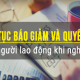 Thủ tục Báo giảm Lao động và lợi ích NLĐ được hưởng khi nghỉ việc