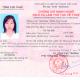 Thông báo về việc cấp CCHN cho các thí sinh đạt kết quả kỳ thi cấp CCHN dịch vụ làm thủ tục về thuế năm 2018