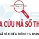 Hướng dẫn tra cứu MST doanh nghiệp từ A - Z chỉ với 03 bước