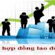 Những quy định mới nhất về ký hợp đồng lao động cần phải biết