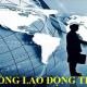 Hợp đồng lao động thời vụ mới nhất và những quy định cần biết