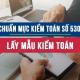 Chuẩn mực kiểm toán số 530: Lấy mẫu kiểm toán