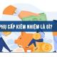 Phụ cấp kiêm nhiệm là gì? Phụ cấp kiêm nhiệm công tác Đảng