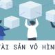 Chuẩn mực kế toán công Việt Nam số 31 về Tài sản vô hình